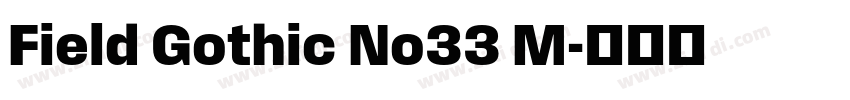 Field Gothic No33 M字体转换